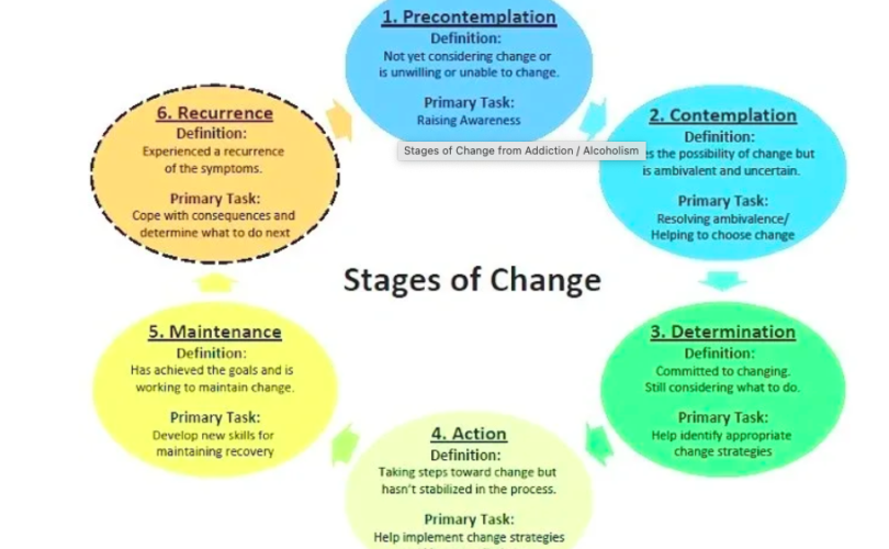 Stages of Change: What Stage Are You in on Your Fitness Journey? 